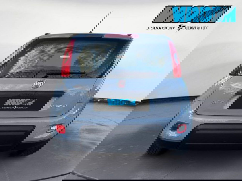 Fiat Panda usata a Treviso (4)