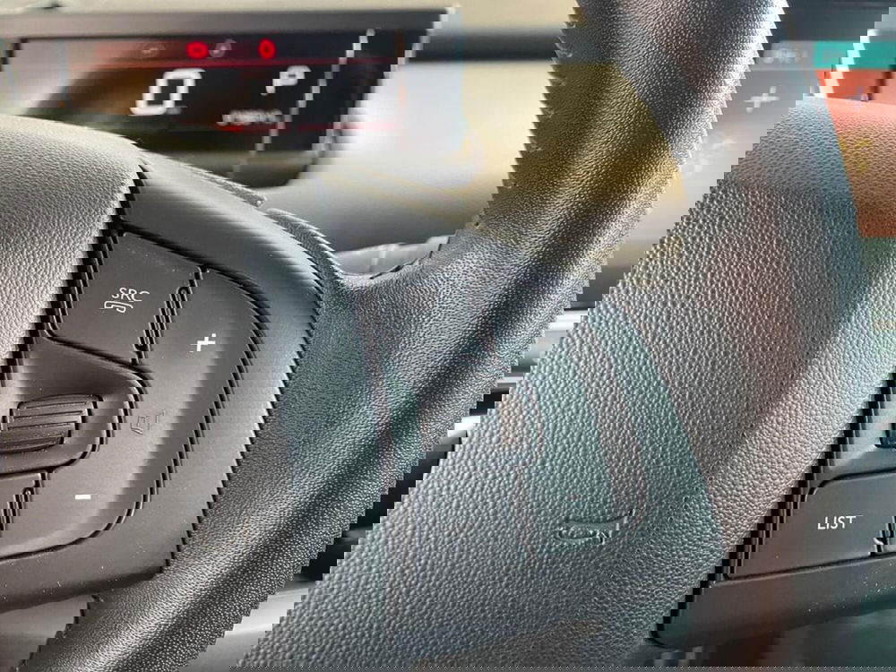 Citroen C4 Cactus usata a Torino (14)