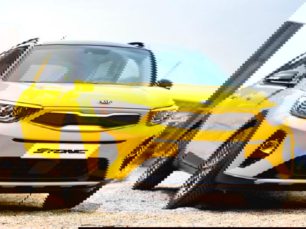 Kia Stonic usata a Pesaro-Urbino (2)