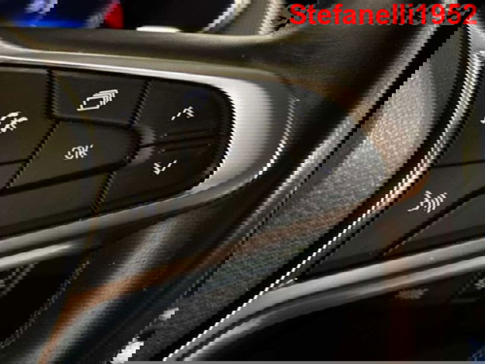 Renault Arkana usata a Bologna (19)