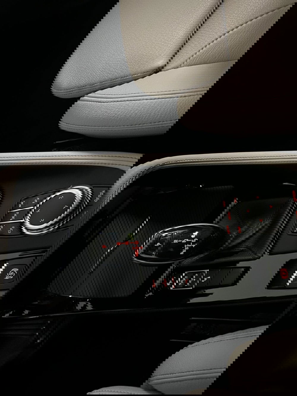 BMW X1 usata a Torino (10)