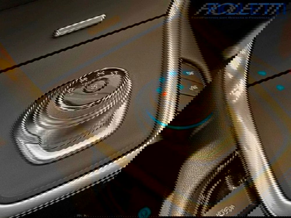 Ford S-Max usata a Brescia (9)