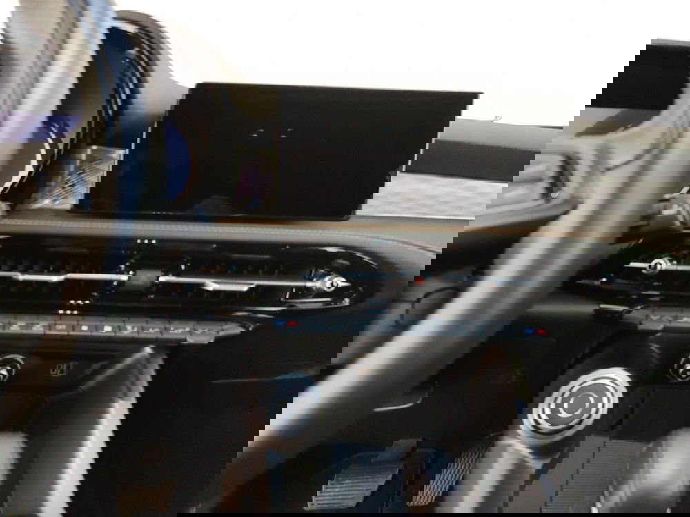 Alfa Romeo Tonale usata a Caserta (15)