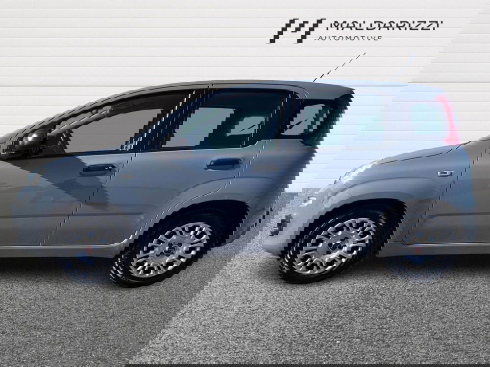 Fiat Panda usata a Bari (5)