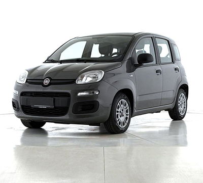 Fiat Panda Cross Cross 1.0 FireFly S&amp;S Hybrid del 2022 usata a Bastia Umbra