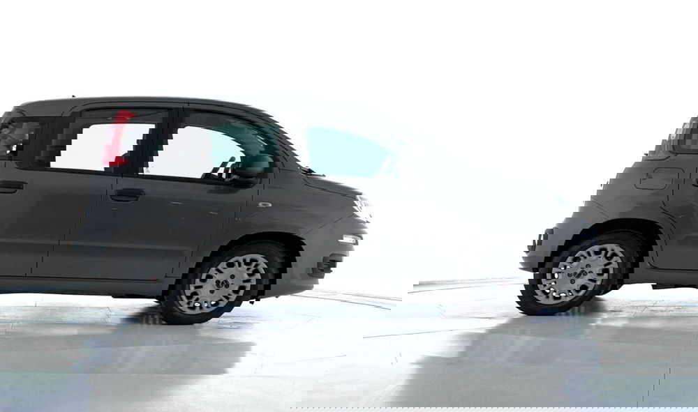 Fiat Panda Cross usata a Perugia (4)