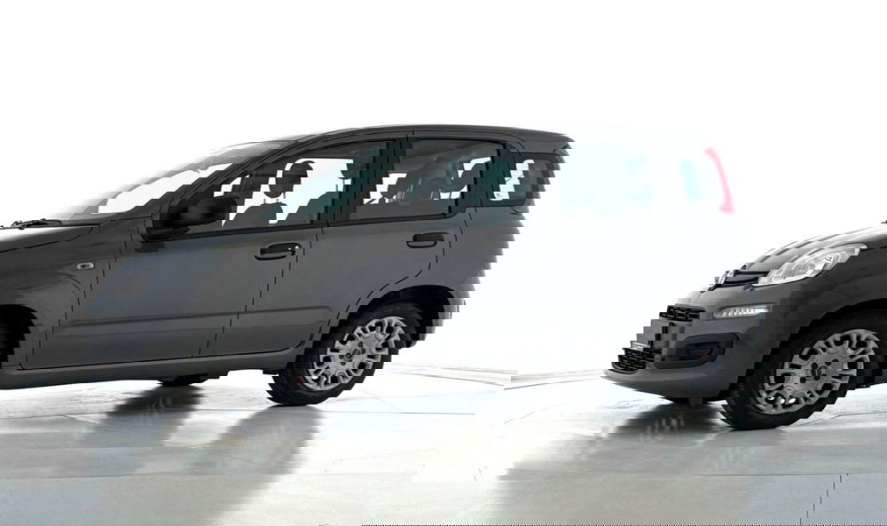 Fiat Panda Cross usata a Perugia (5)