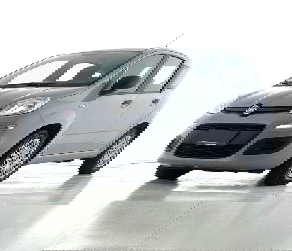 Fiat Panda Cross usata a Perugia