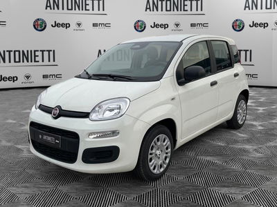Fiat Panda 1.0 firefly hybrid Icon s&amp;s 70cv nuova a Jesi