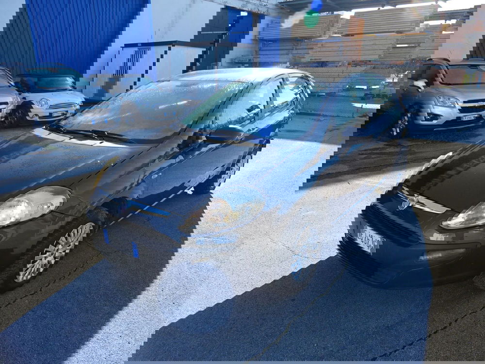 Fiat Punto Evo usata a Lucca