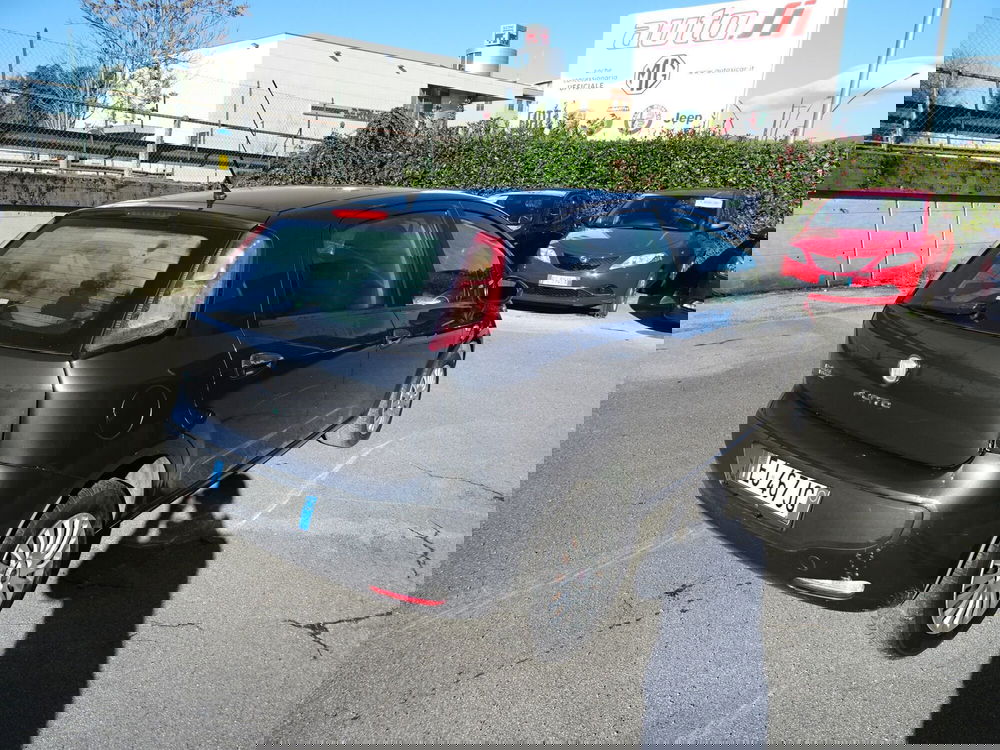 Fiat Punto Evo usata a Lucca (4)