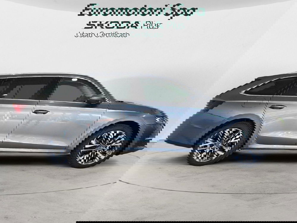 Skoda Octavia Station Wagon nuova a Siena (6)