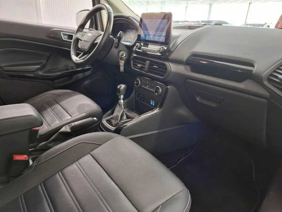 Ford EcoSport usata a Torino (11)