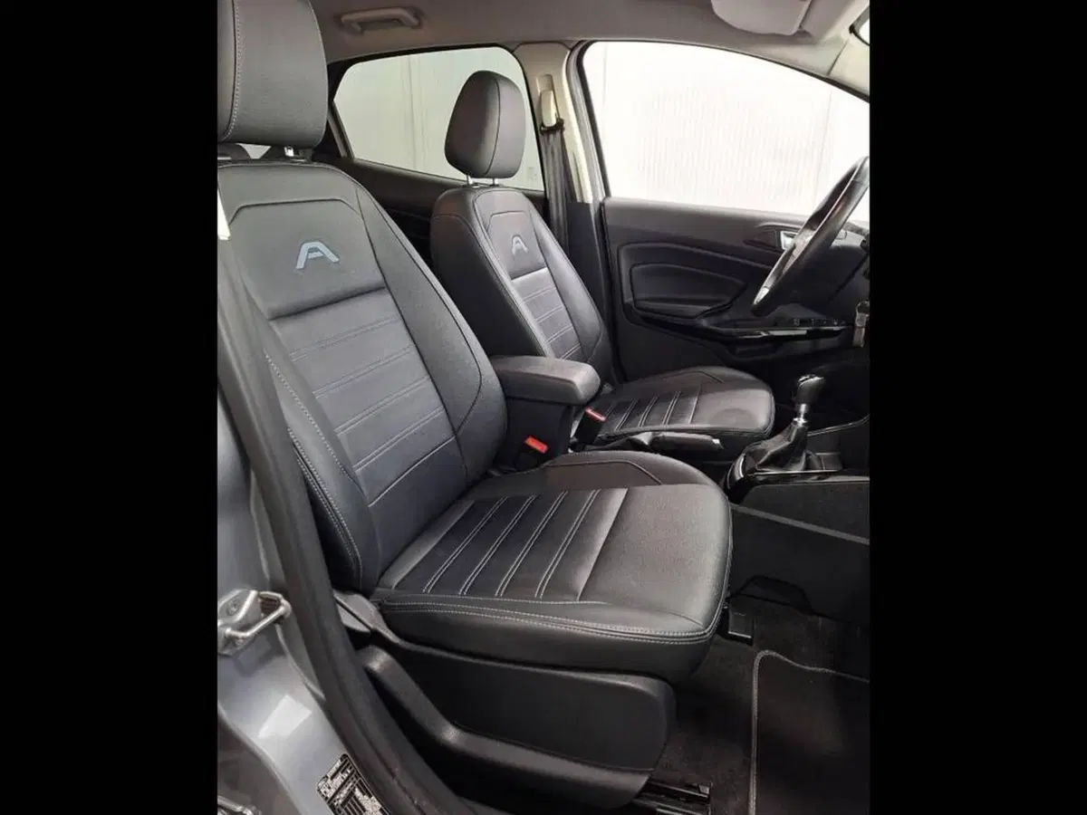 Ford EcoSport usata a Torino (13)