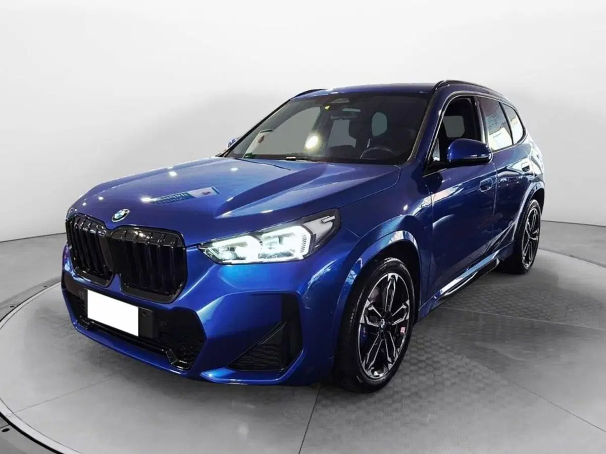 BMW X1 usata a Torino