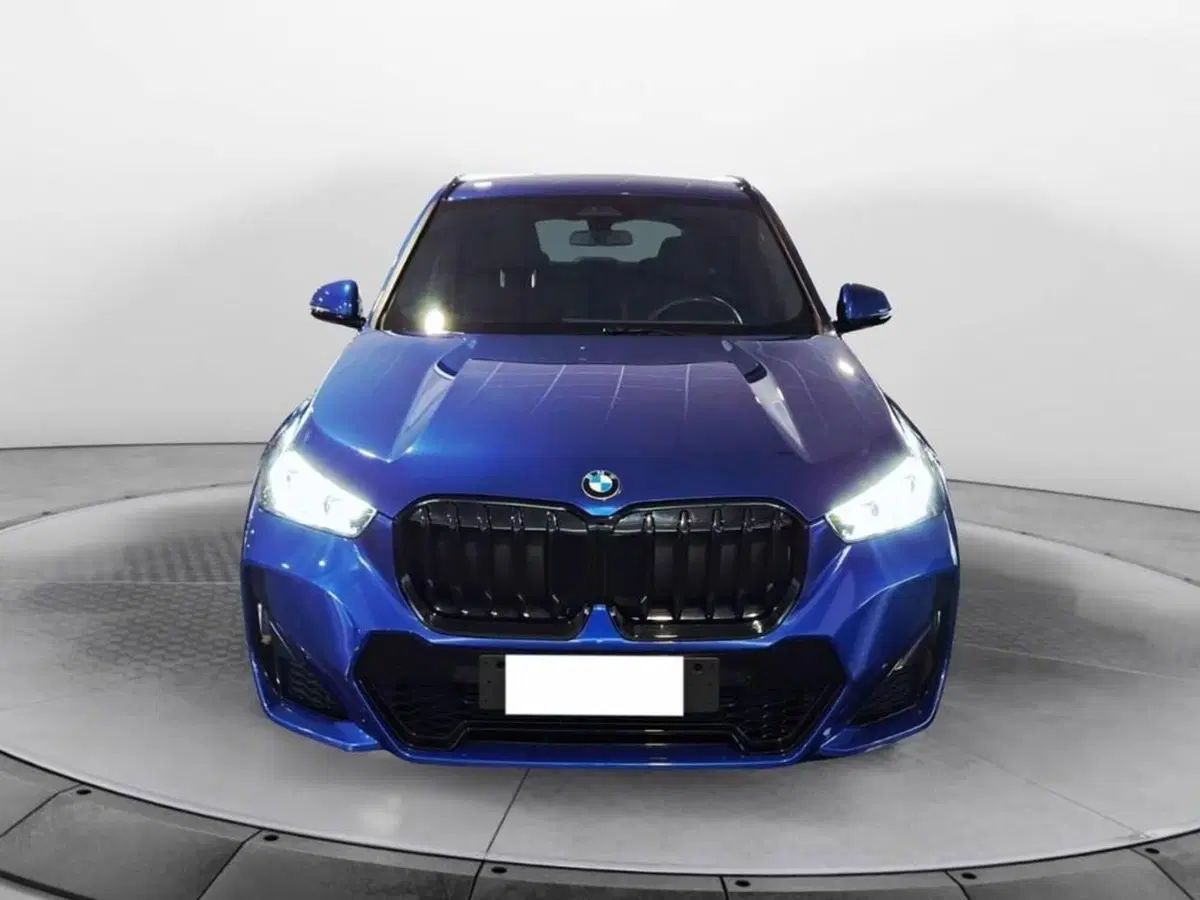 BMW X1 usata a Torino (2)