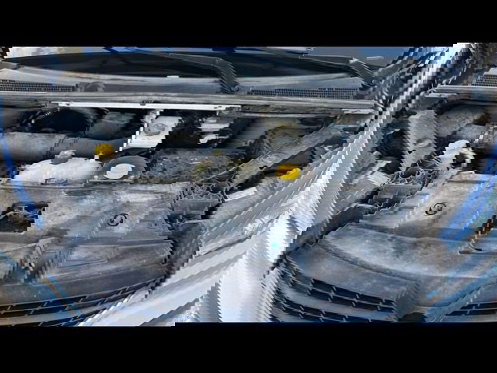 Renault Trafic Furgone usata a Firenze (14)