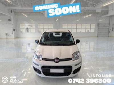 Fiat Panda 0.9 TwinAir Turbo Natural Power Easy del 2019 usata a Foligno