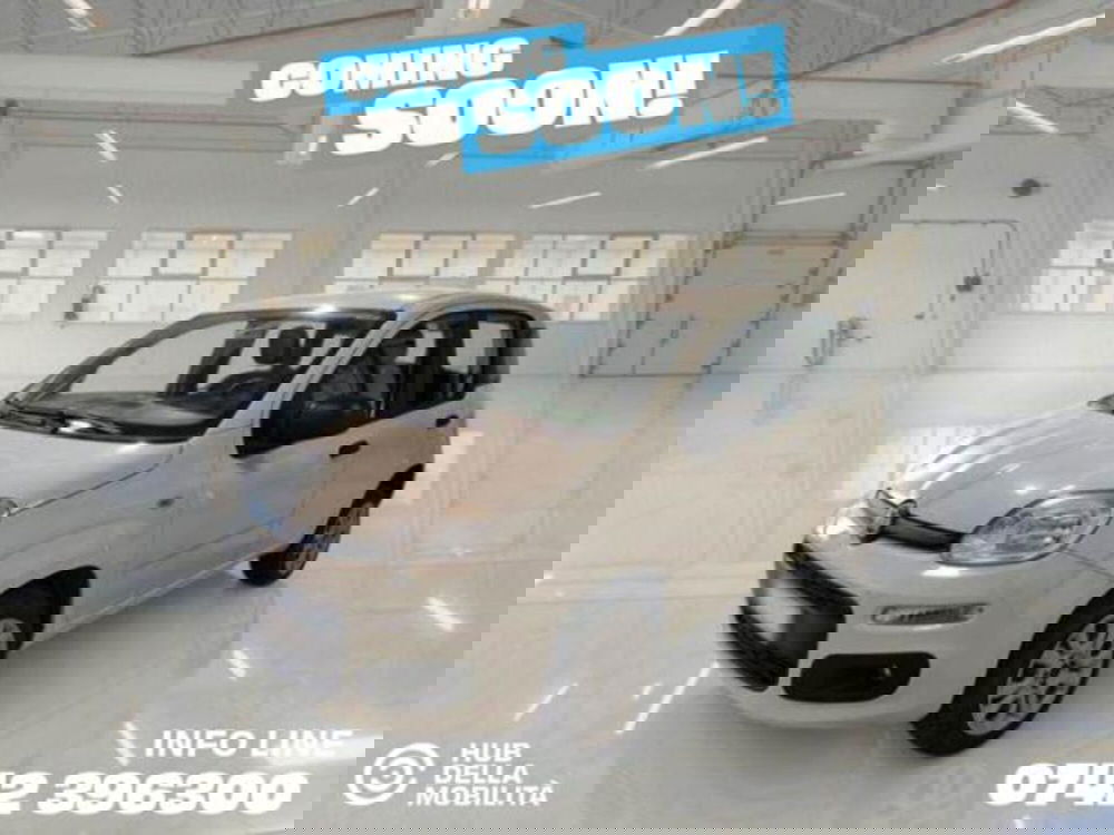 Fiat Panda usata a Perugia (2)