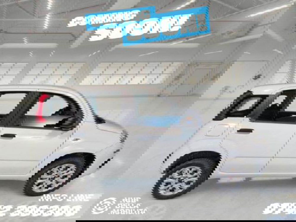 Fiat Panda usata a Perugia (3)