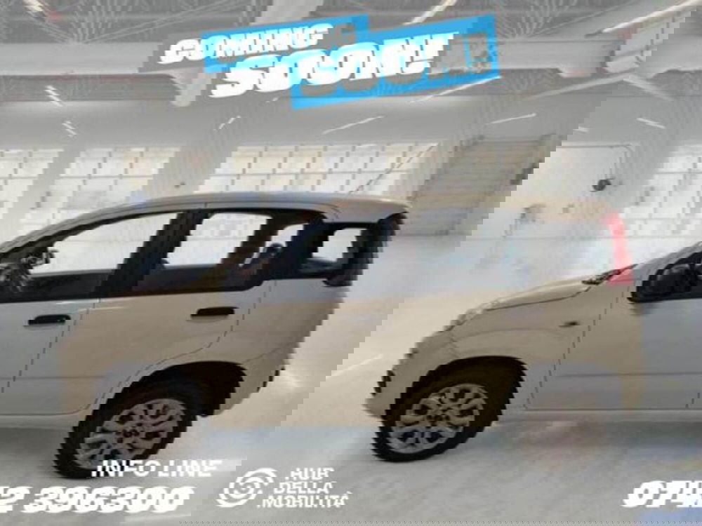 Fiat Panda usata a Perugia (4)