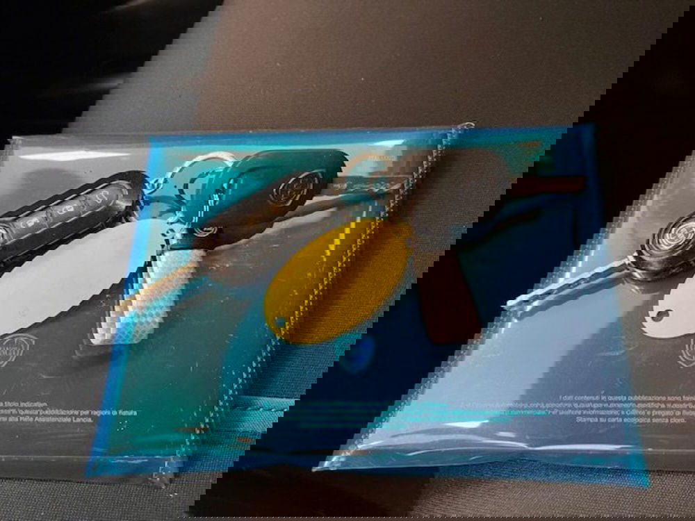 Lancia Ypsilon usata a Alessandria (16)