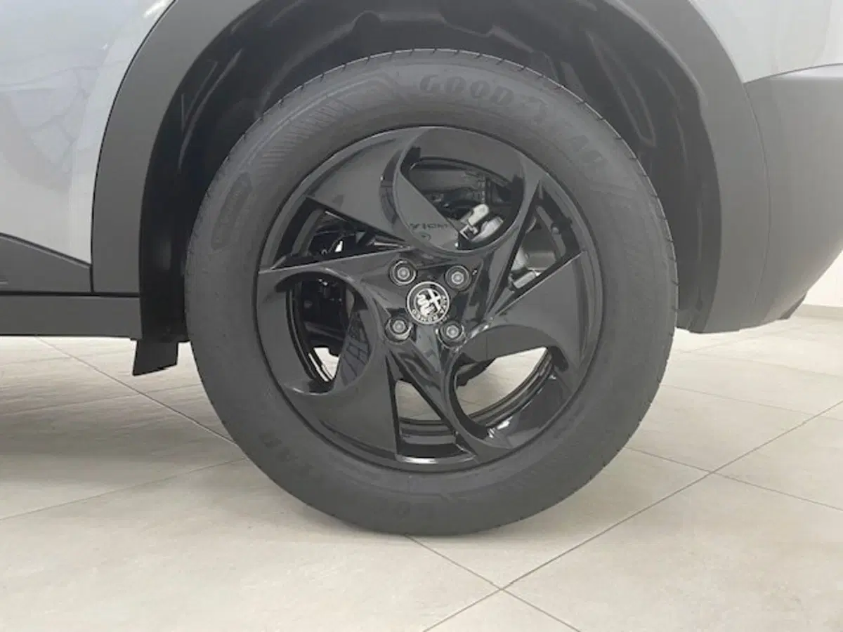 Alfa Romeo Junior nuova a Alessandria (15)