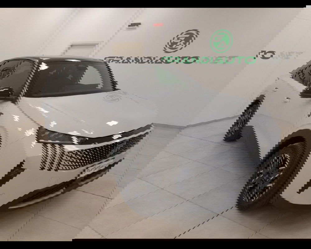 Peugeot 3008 usata a Alessandria (4)