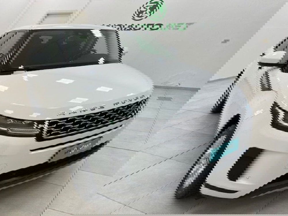 Land Rover Range Rover Evoque usata a Alessandria (5)