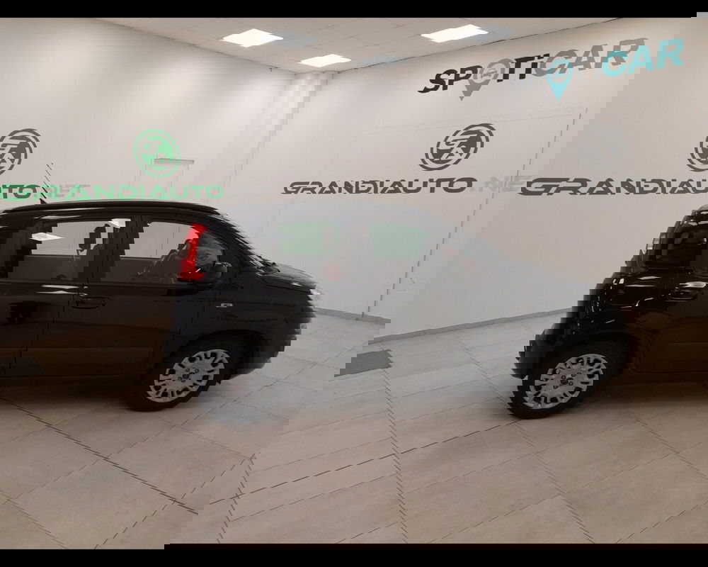 Fiat Panda usata a Alessandria