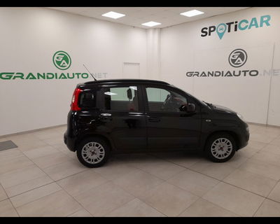 Fiat Panda 1.2 Easy del 2016 usata a Novi Ligure