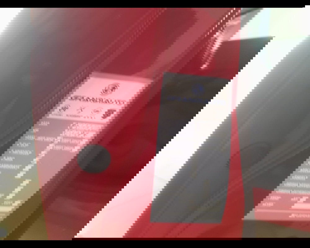 Lancia Ypsilon usata a Alessandria (15)