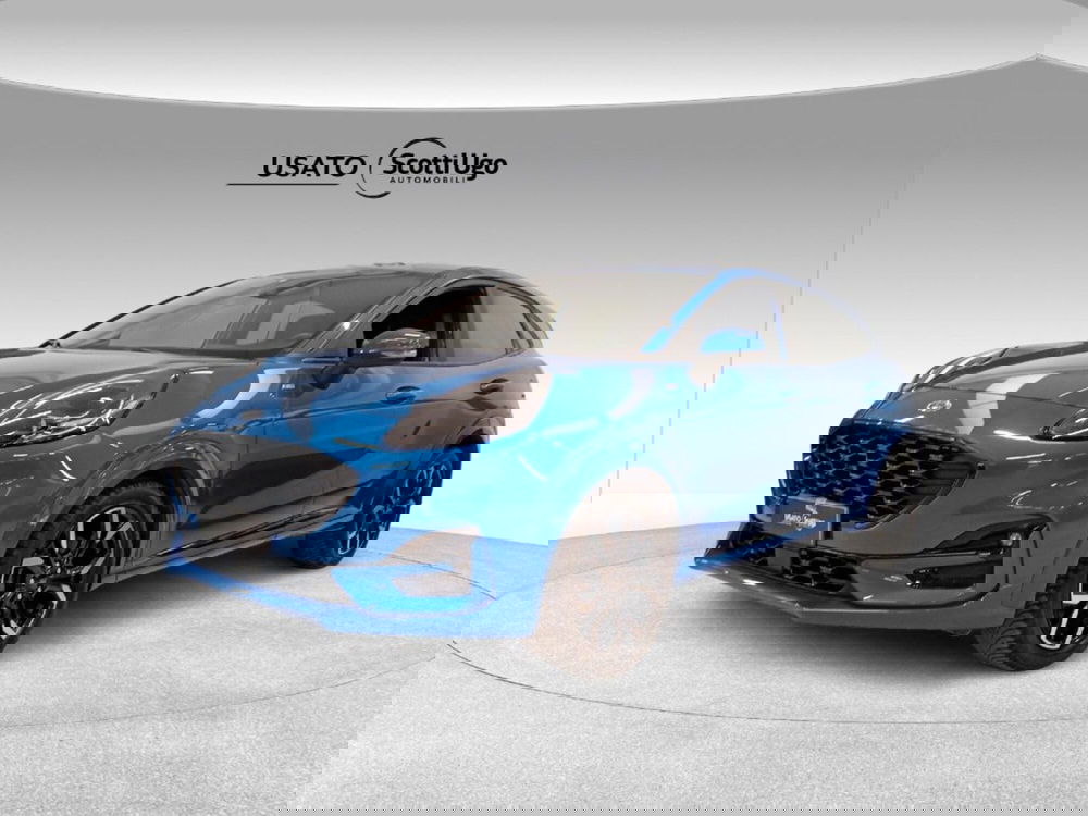 Ford Puma usata a Siena