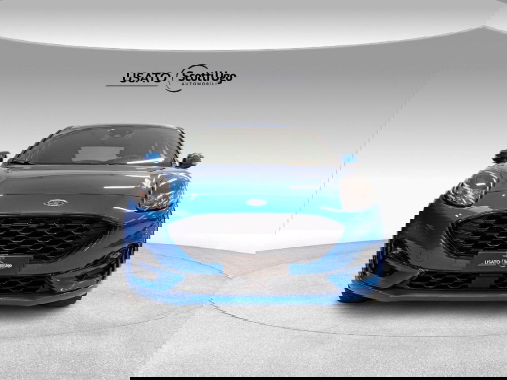 Ford Puma usata a Siena (3)