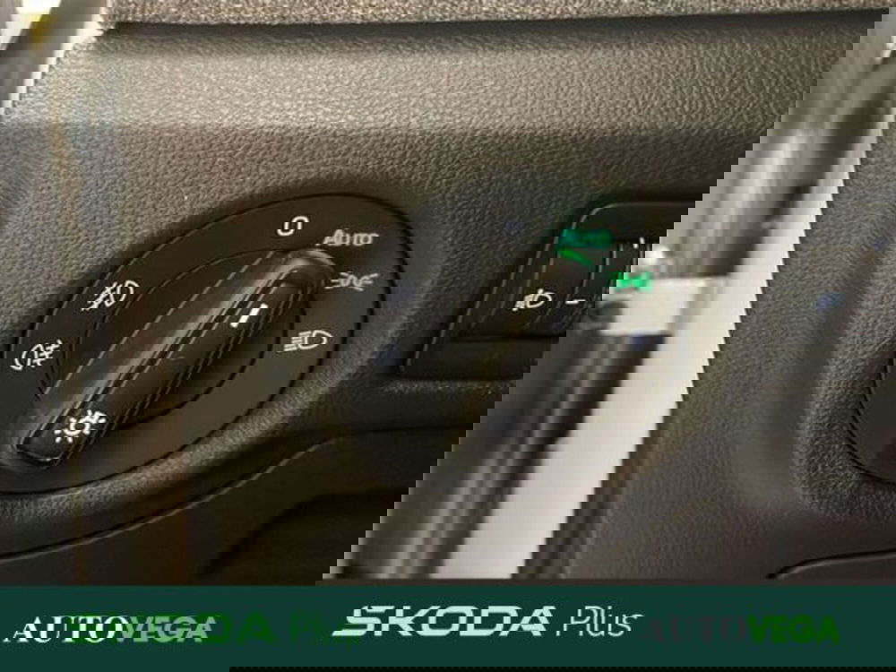Skoda Kamiq usata a Vicenza (16)