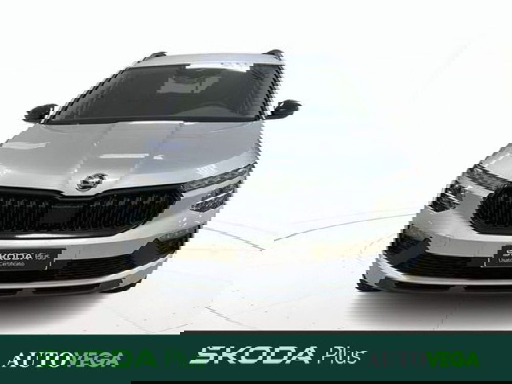 Skoda Kamiq usata a Vicenza (2)