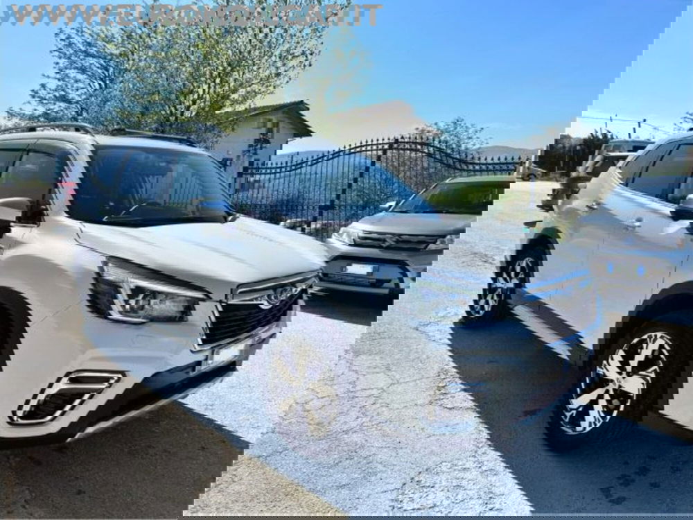 Subaru Forester usata a Campobasso (4)