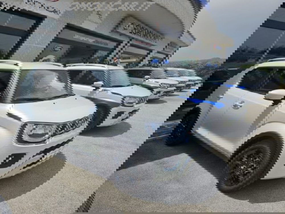 Suzuki Ignis nuova a Campobasso (2)