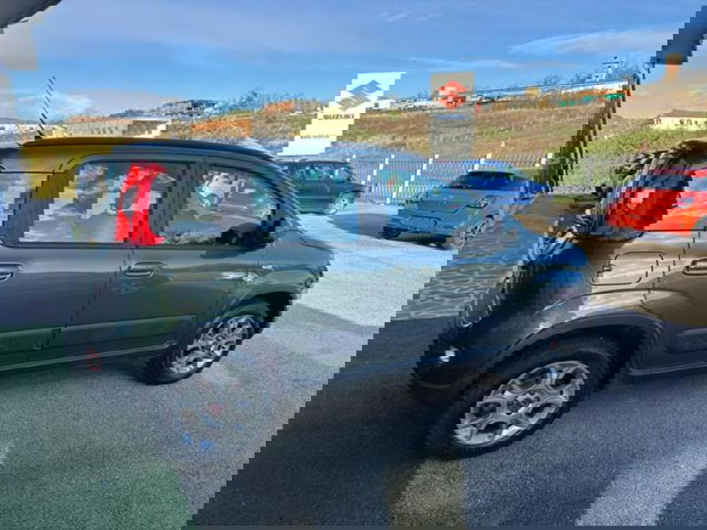 Fiat Panda usata a Campobasso (4)