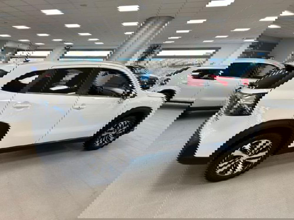 Suzuki S-Cross usata a Campobasso (11)