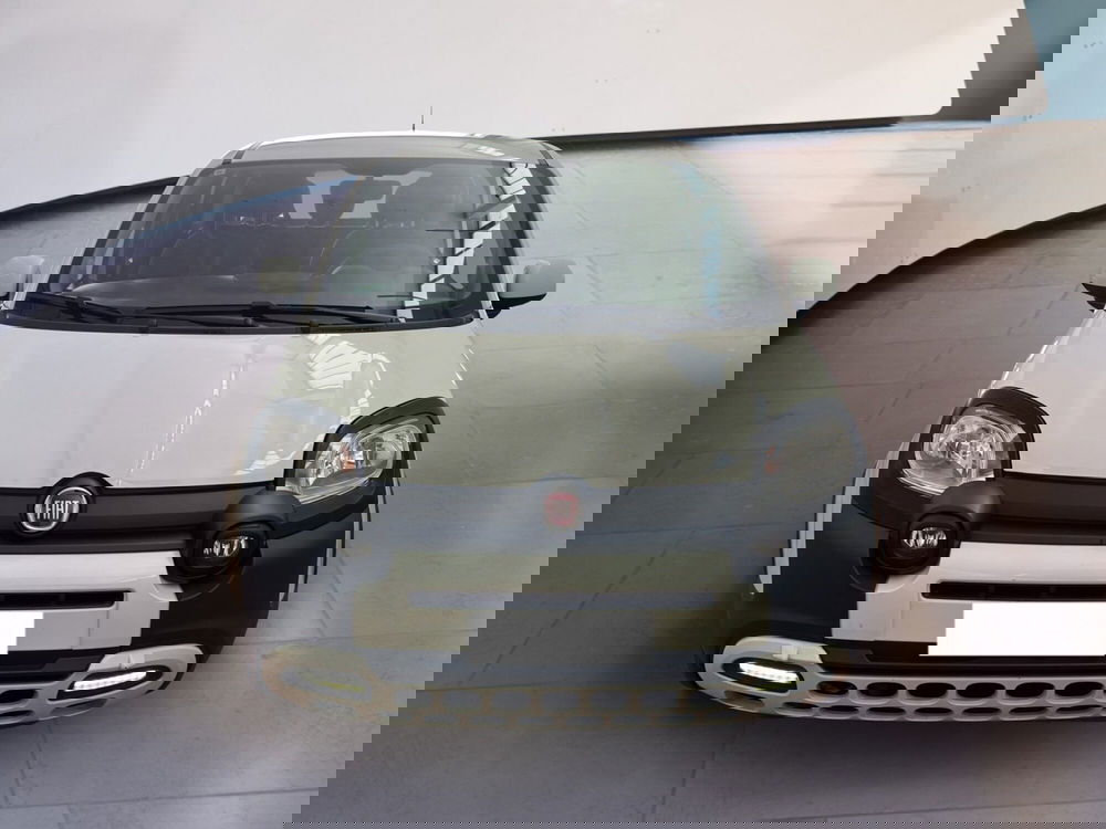 Fiat Panda Cross usata a Torino