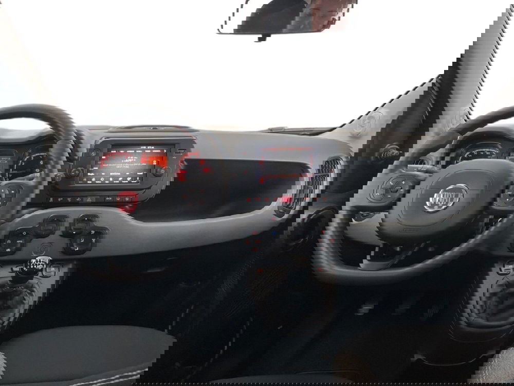 Fiat Panda Cross usata a Torino (10)