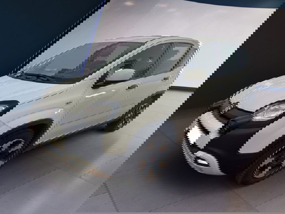 Fiat Panda Cross usata a Torino (2)