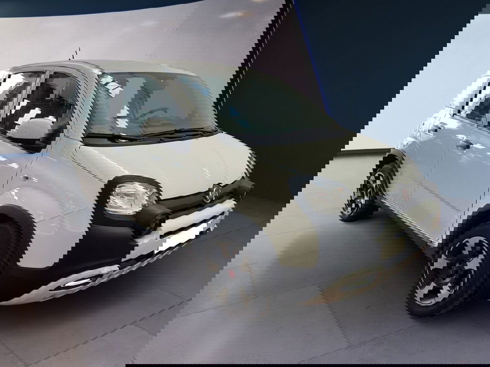 Fiat Panda Cross usata a Torino (3)
