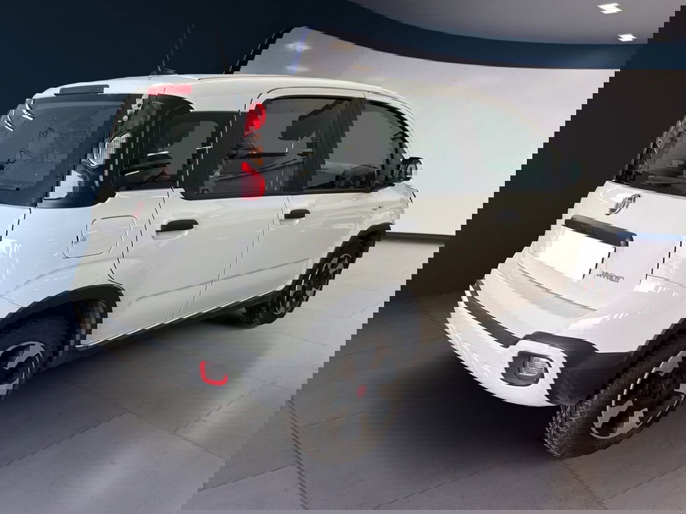 Fiat Panda Cross usata a Torino (4)