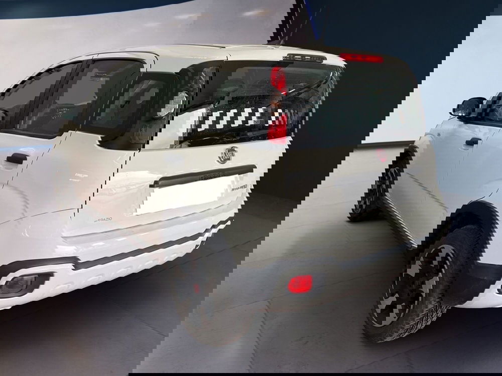 Fiat Panda Cross usata a Torino (6)