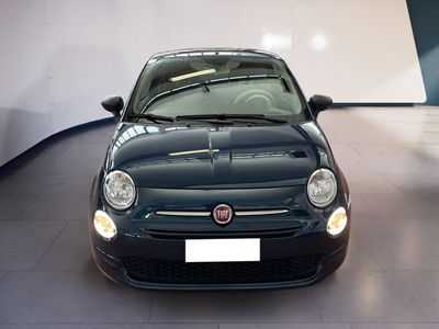 Fiat 500 1.0 Hybrid Cult del 2023 usata a Torino