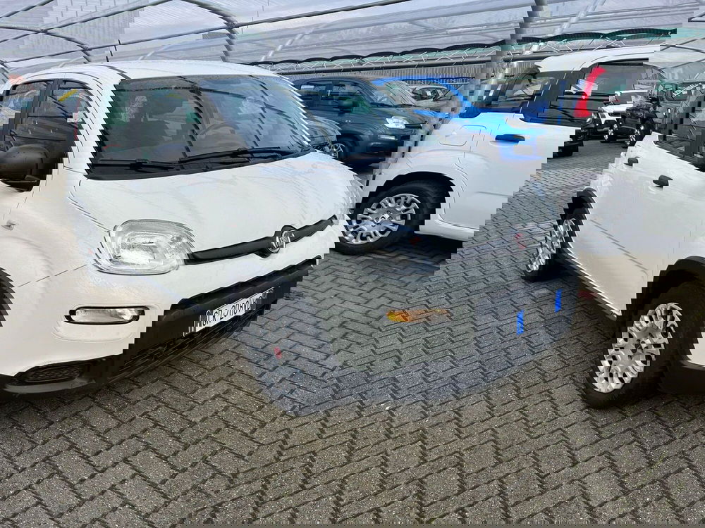 Fiat Panda Cross usata a Milano (3)