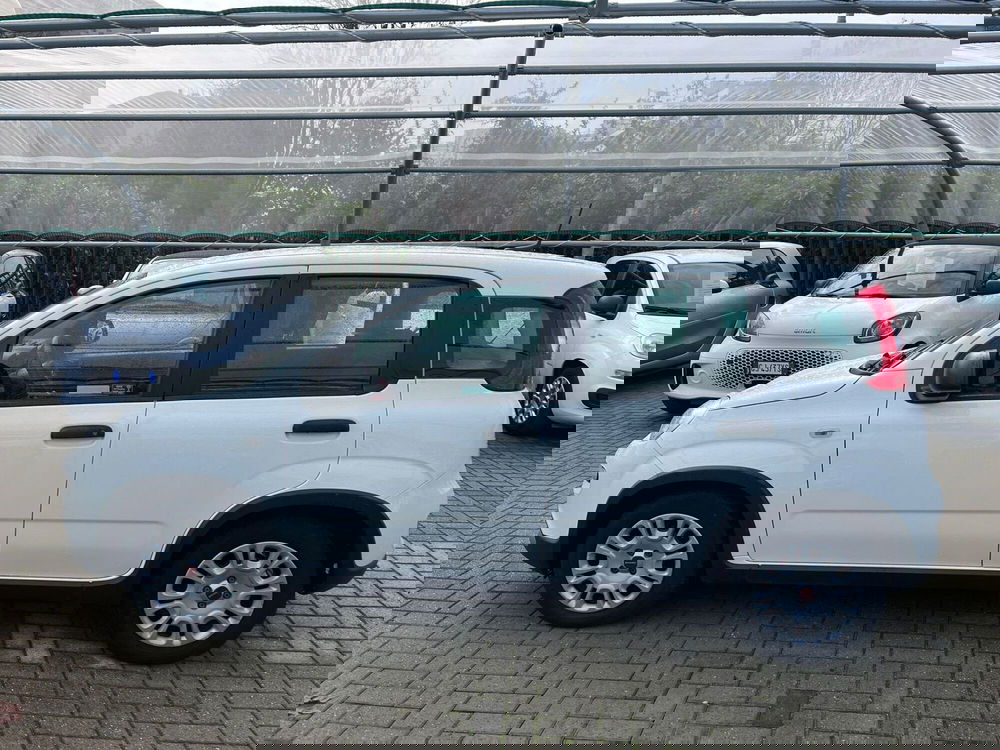 Fiat Panda Cross usata a Milano (4)