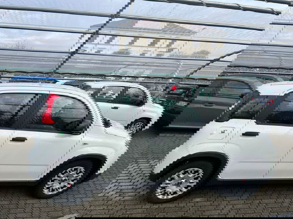 Fiat Panda Cross usata a Milano (5)